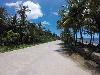 Vacant Lot Suitable for Resort for Sale in Siargao Island